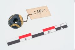 Foto von Glasaugenperle (NHMW-PRAE-023901)
